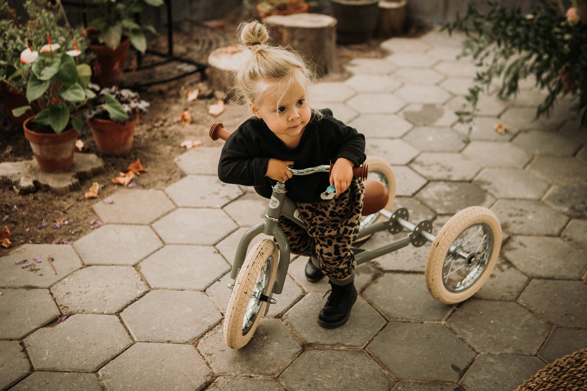 When Is My Child Ready to Move from a Trike to a 2-Wheel Balance Bike?